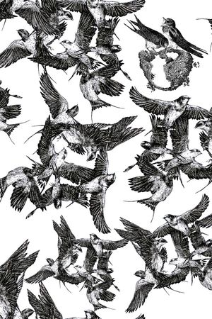 鸟儿印花华亿平台图片