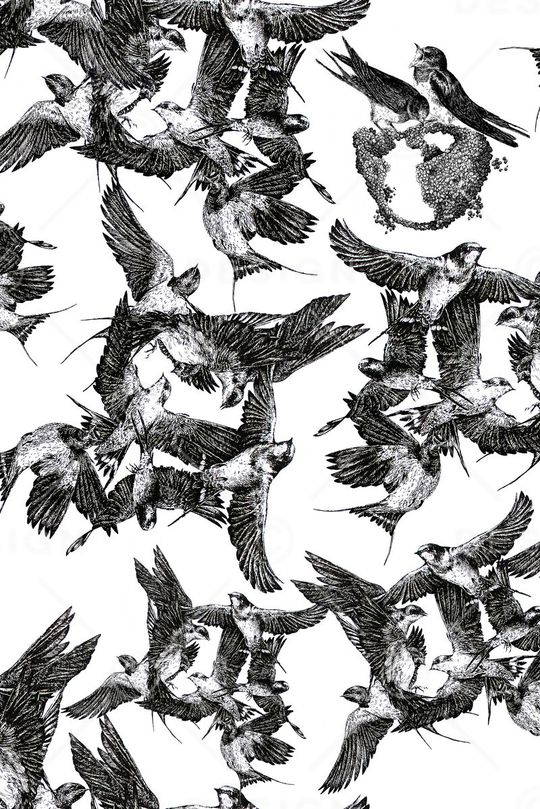 鸟儿印花华亿平台图片