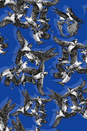 鸟儿印花华亿平台图片