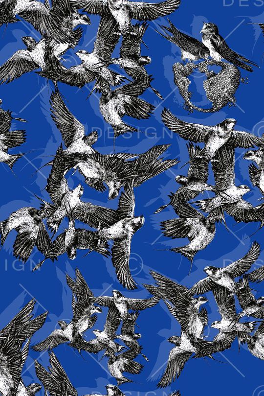 鸟儿印花华亿平台图片