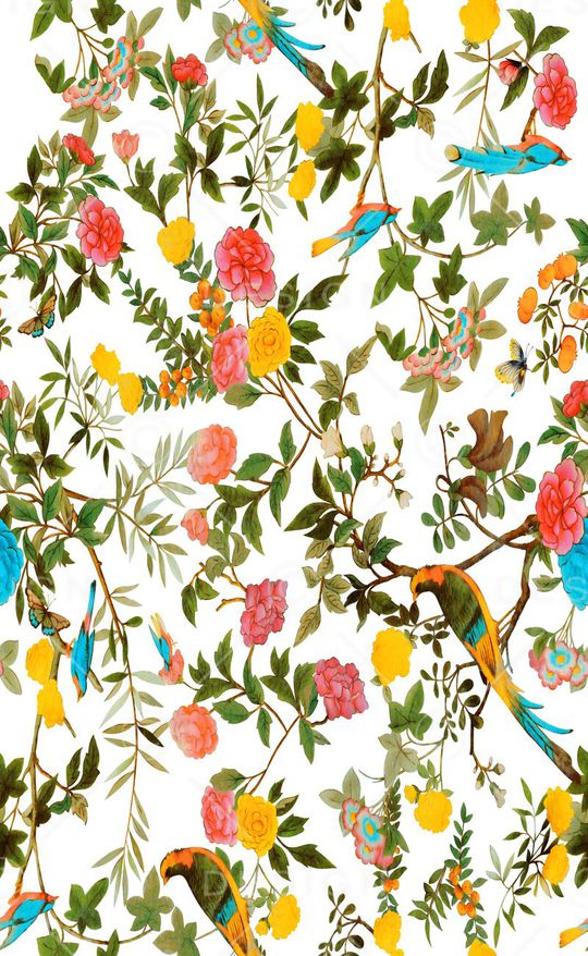 杜嘉班纳印花华亿平台图片