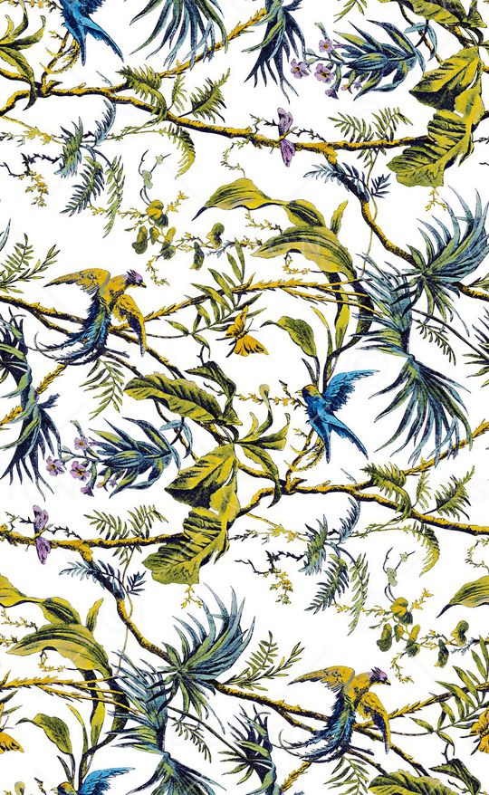 鸟印花华亿平台图片