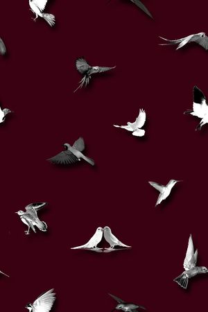 男装印花华亿平台图片