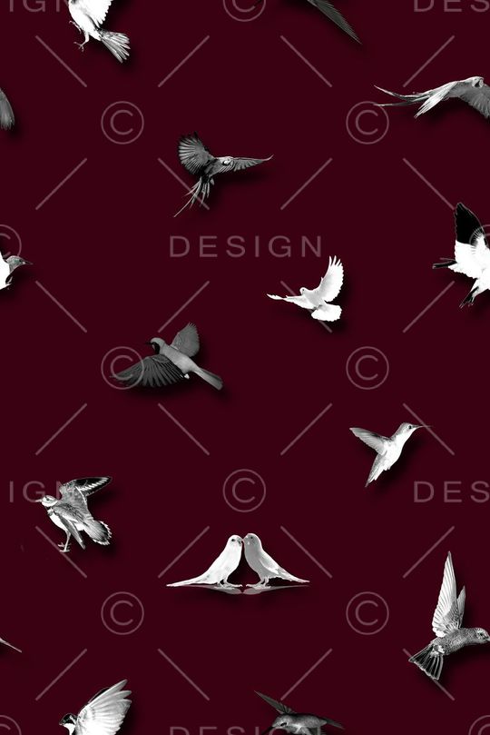 男装印花华亿平台图片