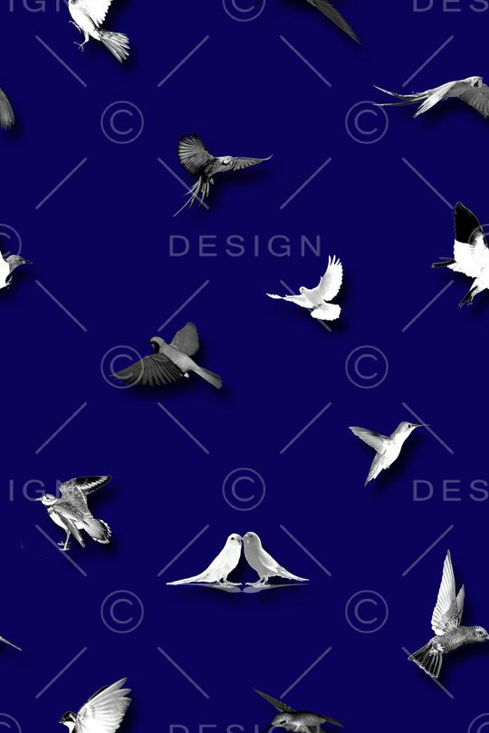 男装印花华亿平台图片