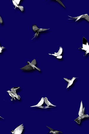 男装印花华亿平台图片