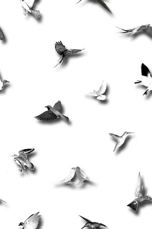 男装印花华亿平台图片