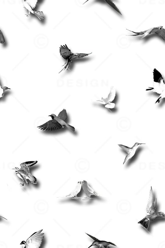 男装印花华亿平台图片