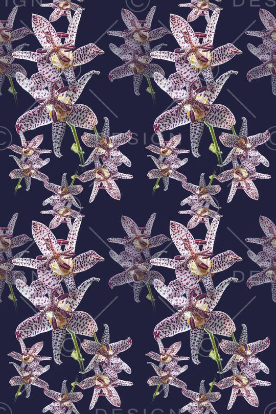 花卉写真印花华亿平台图片