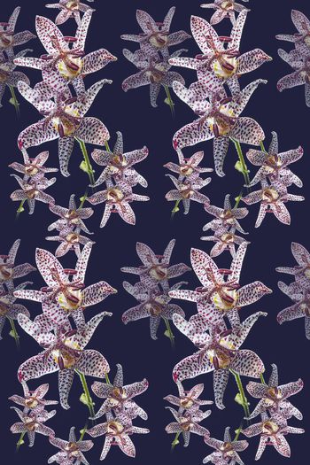 692505-160811-青蓝雅韵-5-1