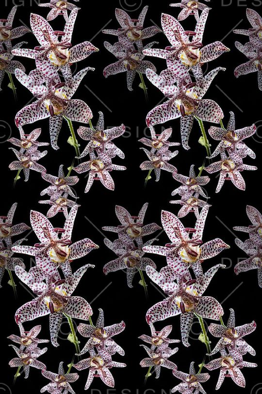 花卉写真印花华亿平台图片