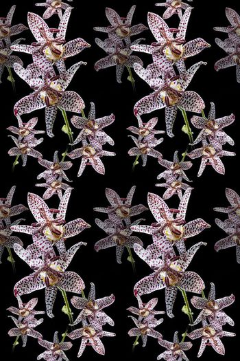 692506-160811-青蓝雅韵-5-2