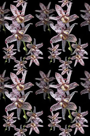 花卉写真印花华亿平台图片