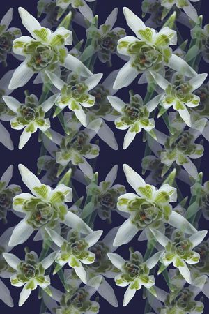 花卉写真印花华亿平台图片