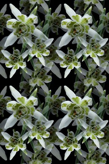 692527-160811-青蓝雅韵-6-3