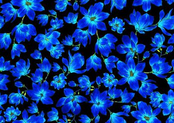 692600-浪漫手绘花20160816-Col