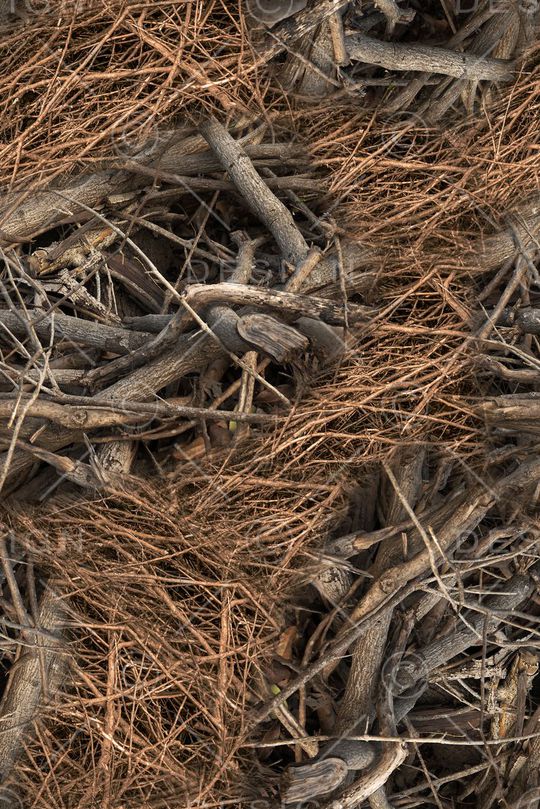 柴火印花华亿平台图片