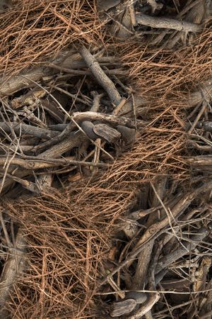 柴火印花华亿平台图片