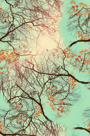 数码印花华亿平台图片