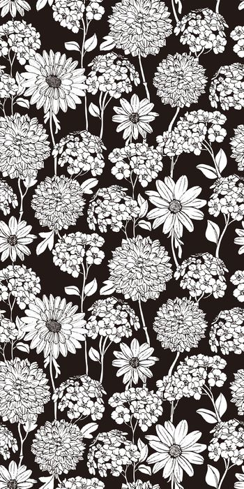 692650-花卉剪影2