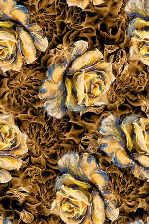 复古印花华亿平台图片