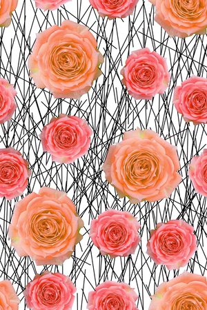 线条印花华亿平台图片