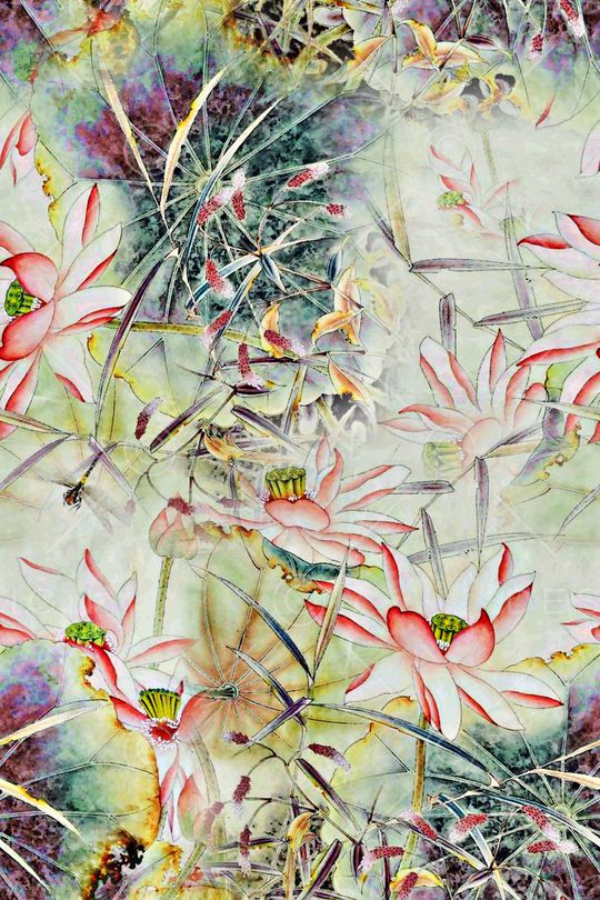 荷花印花华亿平台图片