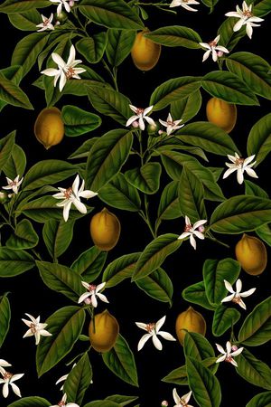 柠檬小花印花华亿平台图片