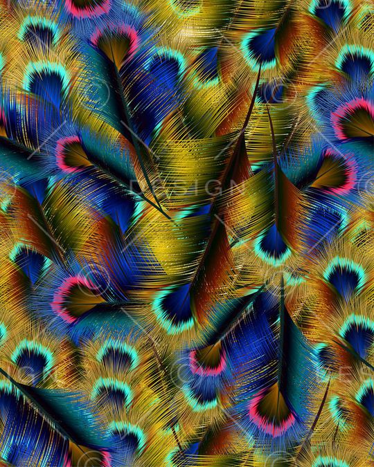 羽毛印花华亿平台图片