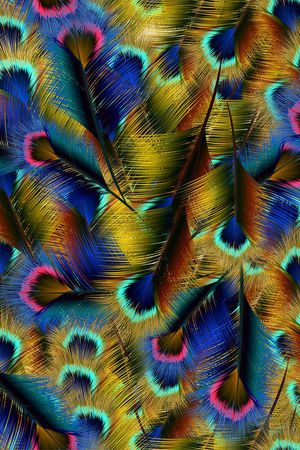 羽毛印花华亿平台图片