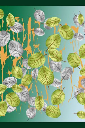 丝巾围巾秀场印花华亿平台图片