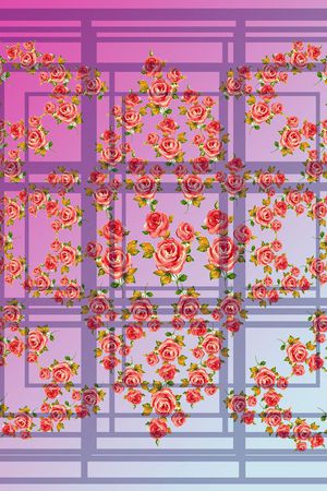 丝巾围巾秀场印花华亿平台图片