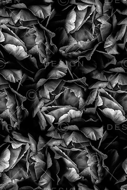 时尚潮流男装满版T恤印花印花华亿平台图片