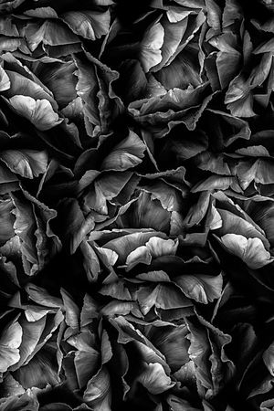 时尚潮流男装满版T恤印花印花华亿平台图片