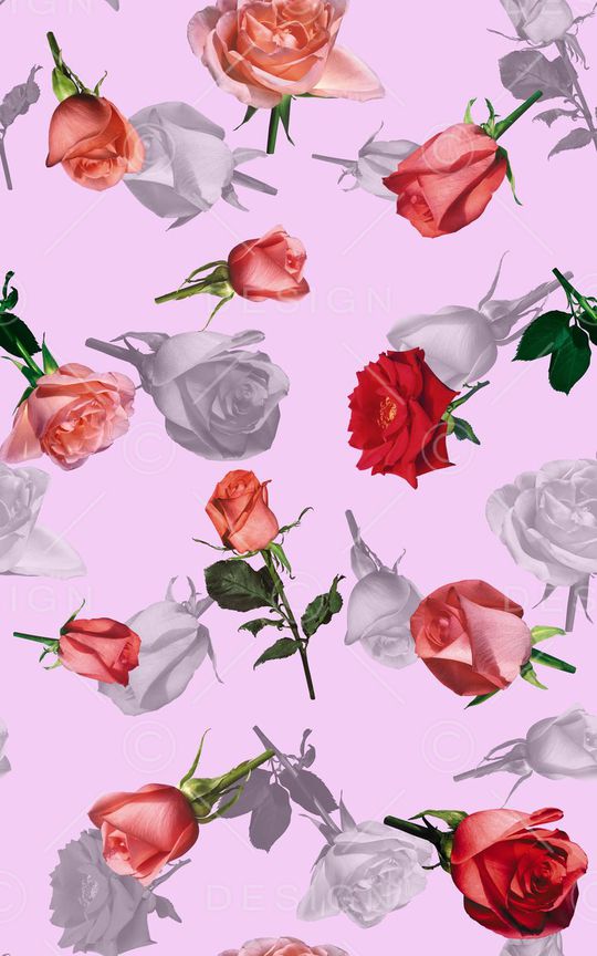 玫瑰印花华亿平台图片