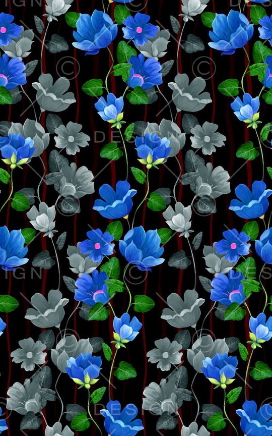 牵牛花印花华亿平台图片