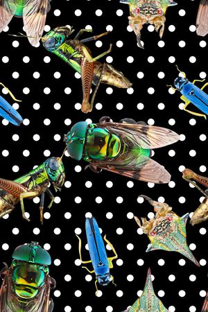 波点印花印花华亿平台图片