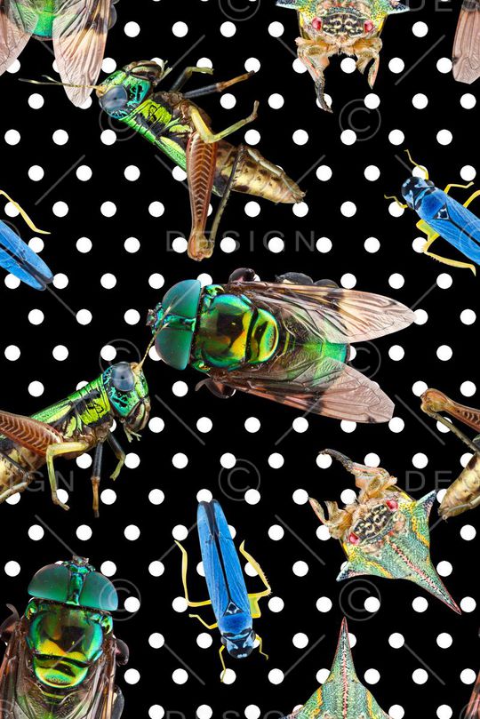 波点印花印花华亿平台图片