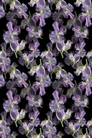 青蓝雅韵系列印花华亿平台图片