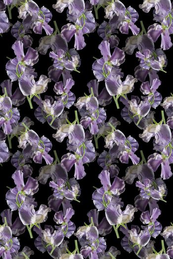 693440-160811-青蓝雅韵-8-2