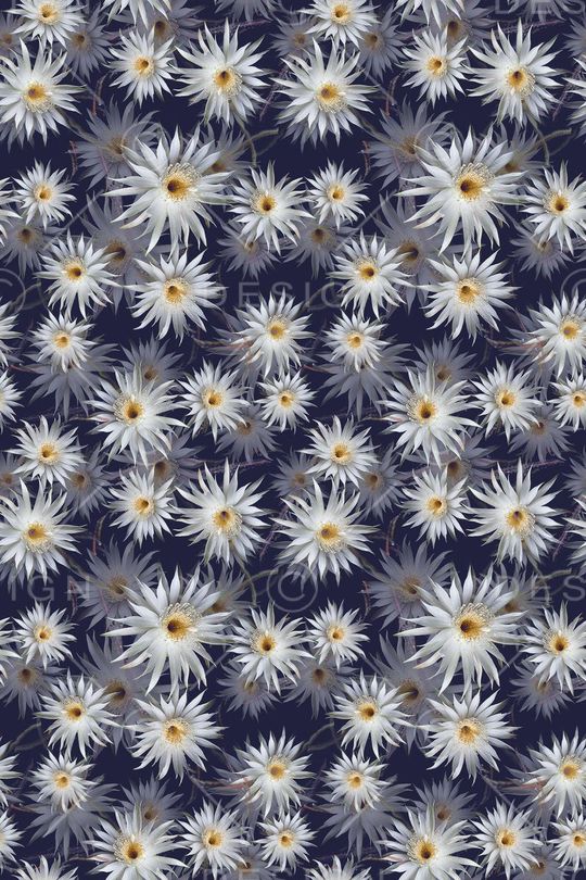 青蓝雅韵系列印花华亿平台图片