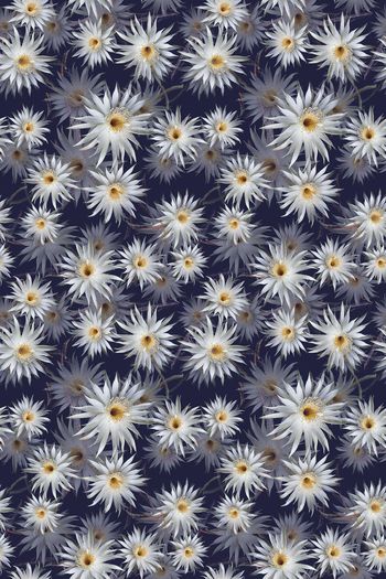 693441-160819-青蓝雅韵-1-1