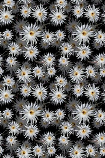 693442-160819-青蓝雅韵-1-2