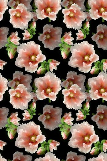 693450-160819-青蓝雅韵-3-2