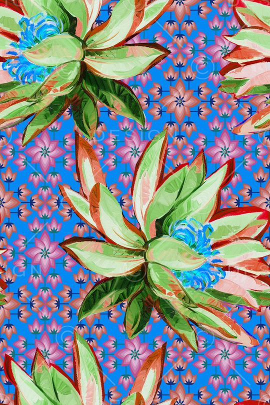 女装印花华亿平台图片