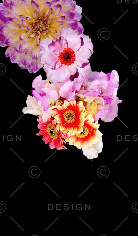 真花印花华亿平台图片