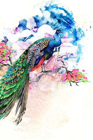 孔雀印花华亿平台图片