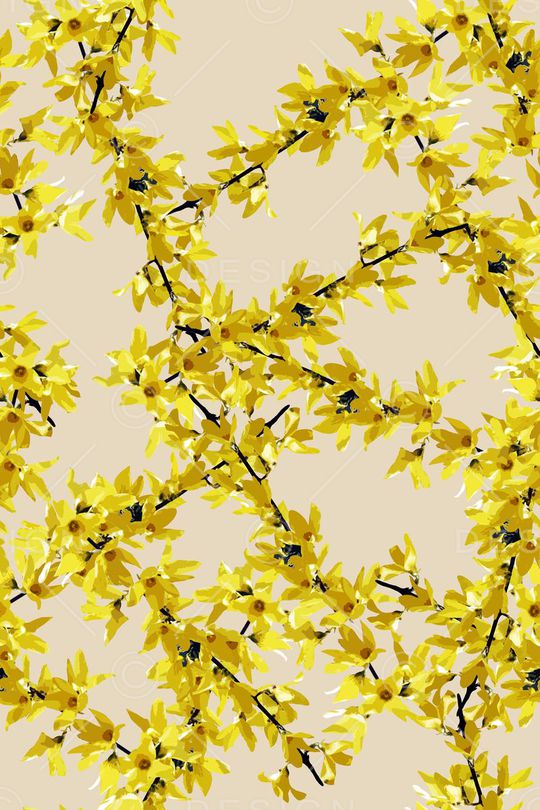 花朵印花华亿平台图片