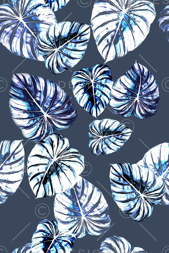 大花印花华亿平台图片