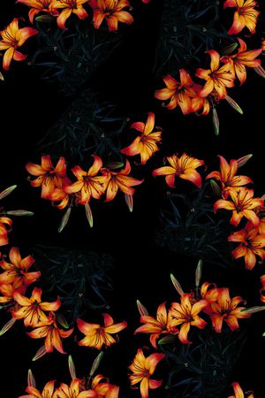 手绘女装花卉数码印花印花华亿平台图片